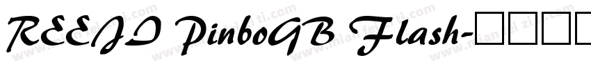 REEJI PinboGB Flash字体转换